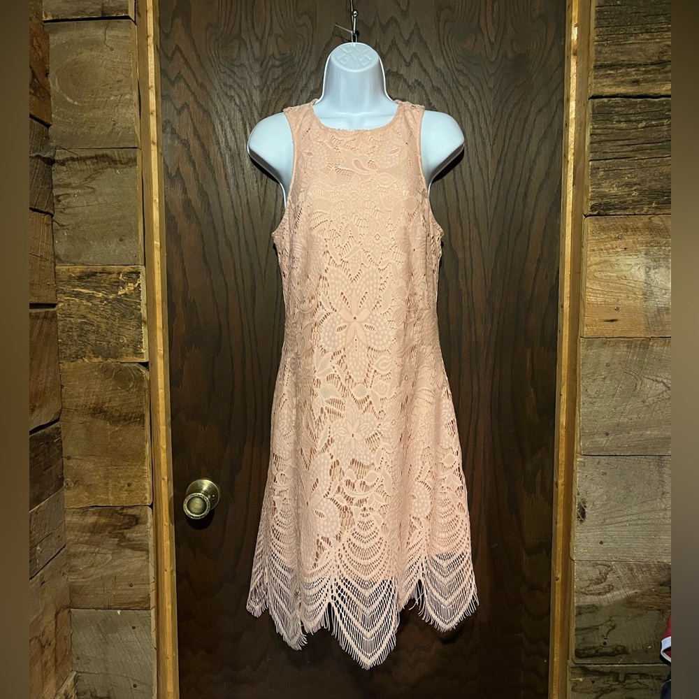 Beautiful blush lace dress